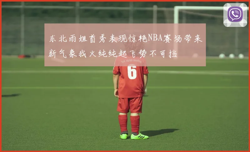 东北雨姐首秀表现惊艳NBA赛场带来新气象我火纯纯起飞势不可挡