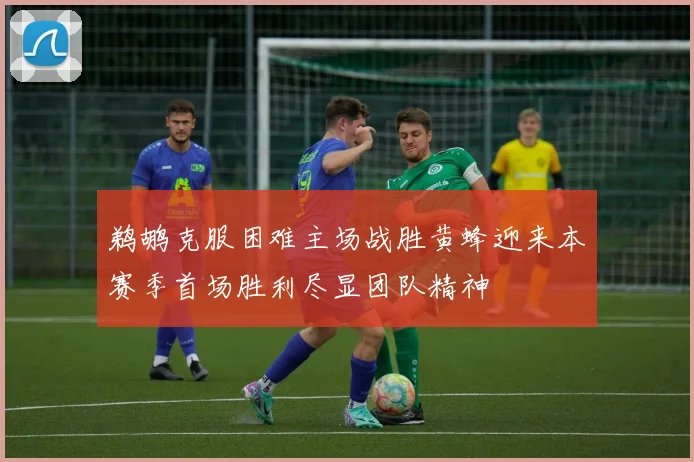 鹈鹕克服困难主场战胜黄蜂迎来本赛季首场胜利尽显团队精神