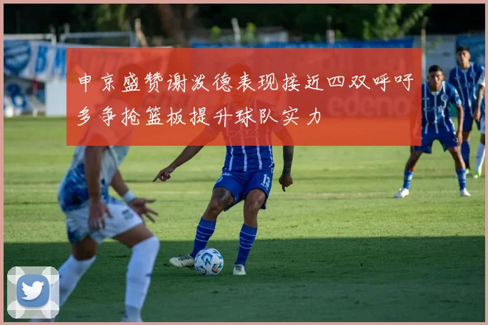 申京盛赞谢泼德表现接近四双呼吁多争抢篮板提升球队实力