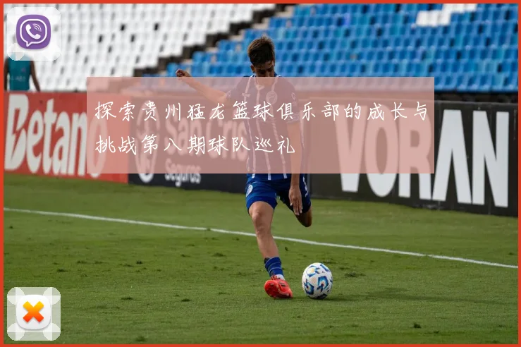 探索贵州猛龙篮球俱乐部的成长与挑战第八期球队巡礼