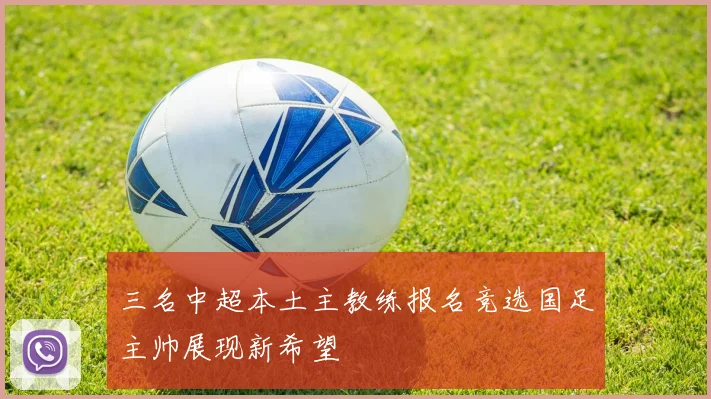 三名中超本土主教练报名竞选国足主帅展现新希望