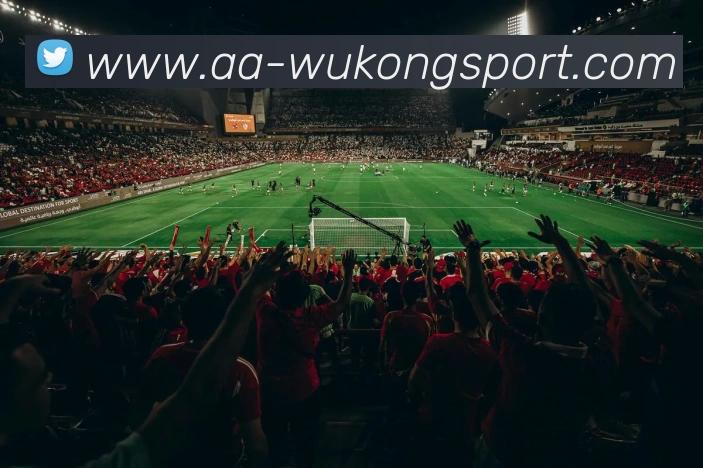 悟空体育平台生态图