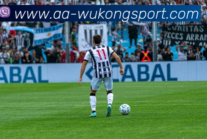 悟空体育APP 封面图