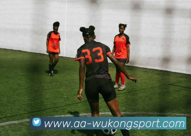 数据防护可视化