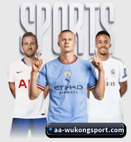 坚持做好基础的事(WukongSports)