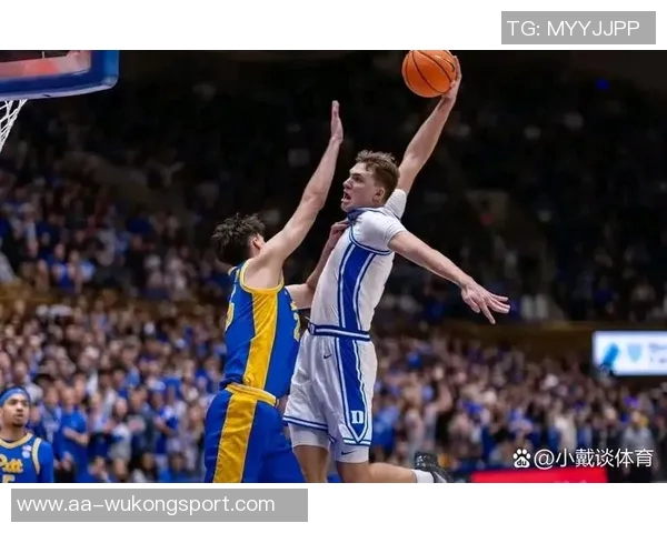 美记分析:交易AD与欧文有助于更好发展弗拉格的潜力与价值 美记分析:交易AD与欧文有助于更好发展弗拉格的潜力与价值