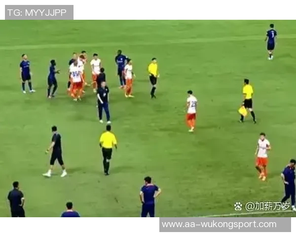 申花与首尔FC激战全场数据解析射门控球率对比引人关注 申花与首尔FC激战全场数据解析射门控球率对比引人关注